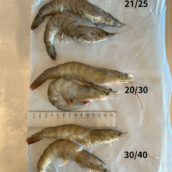 活凍白蝦-大(21/25)中(20/30)小(30/40)