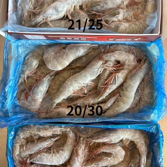 活凍白蝦-大(21/25)中(20/30)小(30/40)