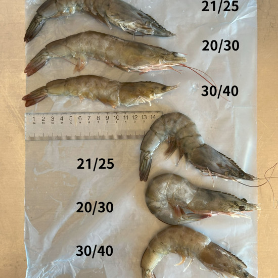 活凍白蝦-大(21/25)中(20/30)小(30/40)