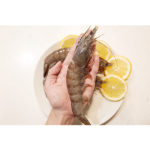 蝦、蟹、貝、軟體類