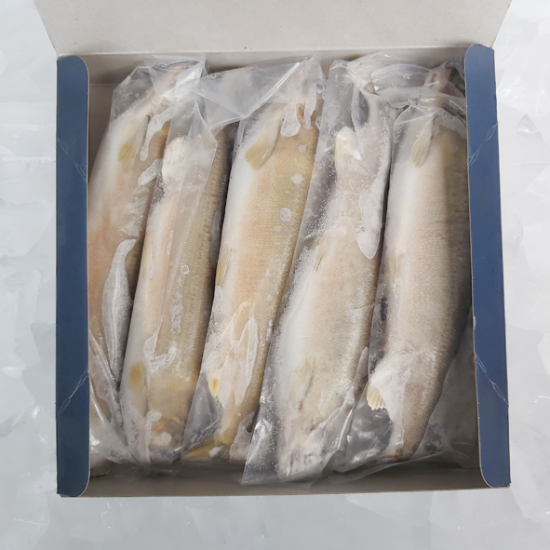 香魚-有卵/無卵