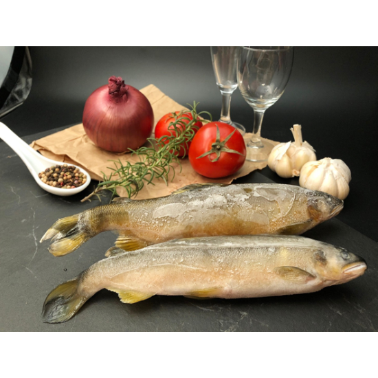 香魚-有卵/無卵