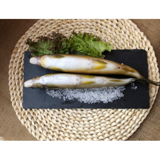 香魚-有卵/無卵